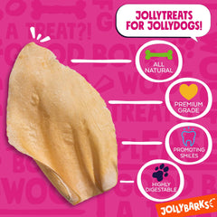 Jolly Barks – Emballage 12-pack, pratique pour les familles.