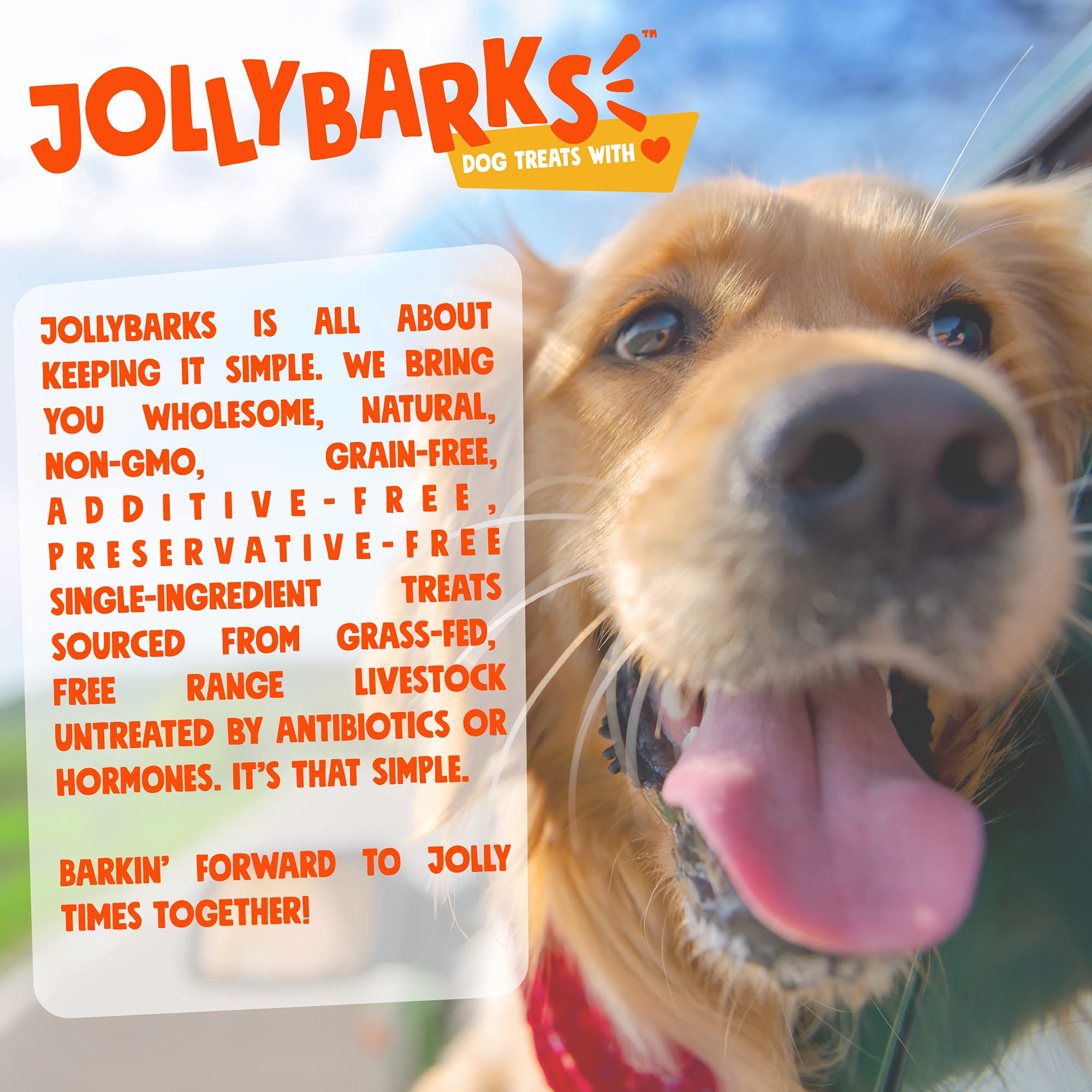 Sécurité lors de la mastication avec supervision recommandée pour Jolly Barks.
