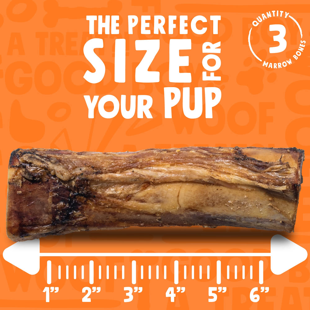 Os marrow sans odeur, friandise propre pour chiens.