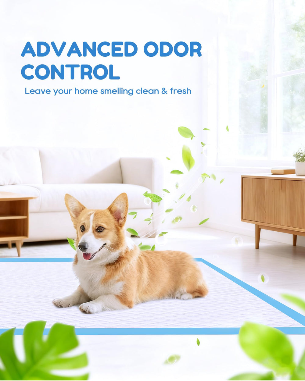 Déodorant intégré pour limiter les odeurs avec le tapis Jolly Care.