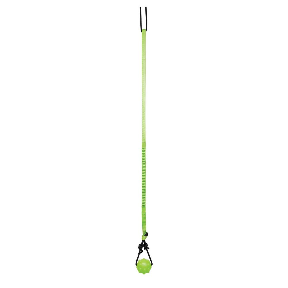 Jolly Pets arbre-tirage en action pour jeu en solo et exercice.