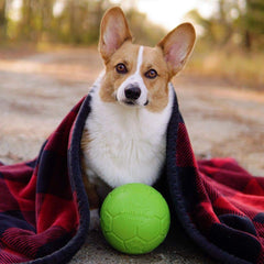 Texture gripante sur balle Jolly Pets Soccer pour jeu mouillé