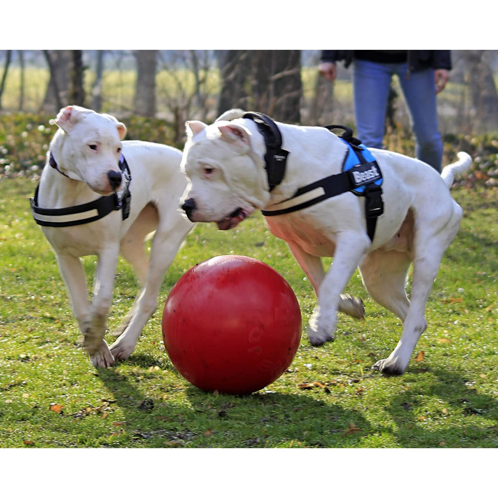 Jolly Pets Balle Poussée Rouge 14 pouces, fabriquee aux etats-unis avec materiaux solides.