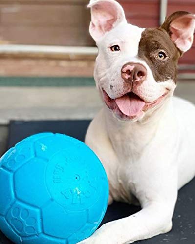 Fabriqué aux États-Unis par Jolly Pets pour soutenir les organisations de jouets.