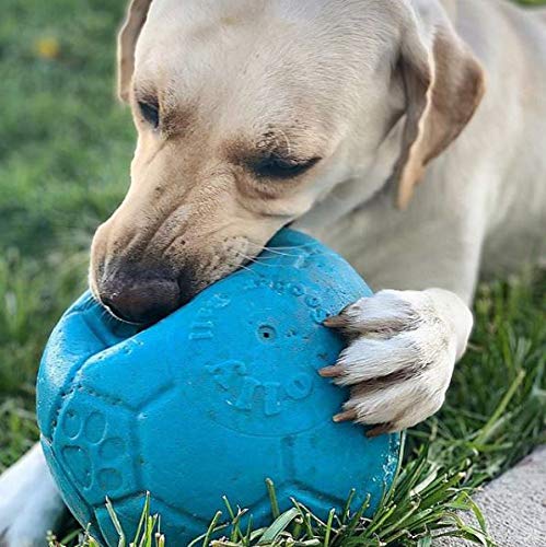 Jolly Pets balle utilisée dans l’eau pour récupérer et s’amuser lors des jeux.