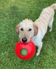 Balle teaser taille moyenne adaptée pour chiens de taille moyenne.