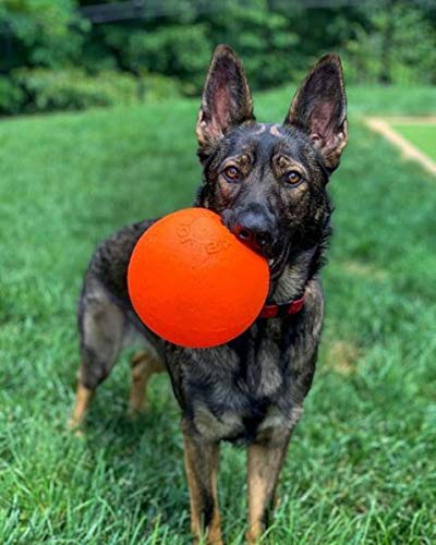 Jolly Pets Bounce-N-Play balle flottante orange pour jeux aquatiques et récupération.