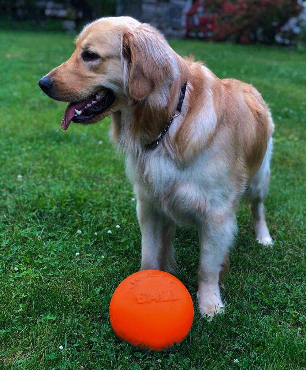 Jolly Pets Bounce-n-Play, matière JollyFlex résiliente et durable