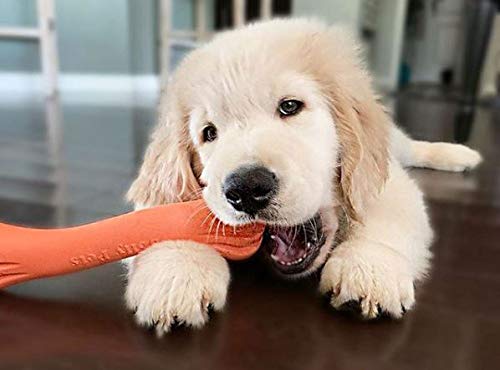 Jolly Pets flotte pour recuperation-eau, idéal pour les jeux aquatiques et la récupération.
