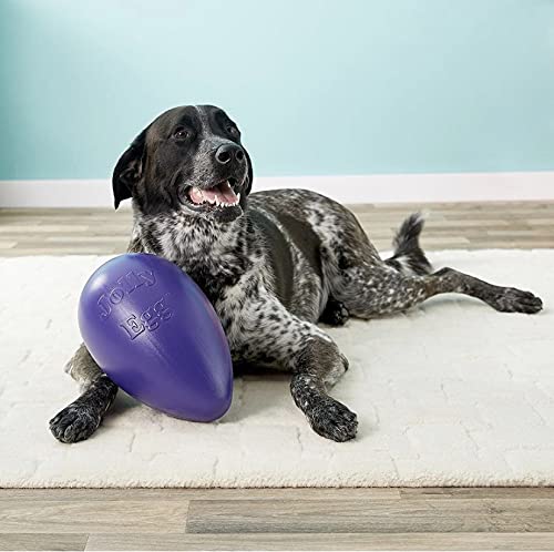Jouet interactif Jolly Pets favorisant l'interaction et le divertissement quotidien.