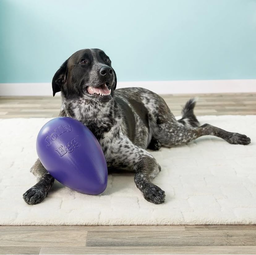 Idéal pour les petits chiens, encourage poussée et interaction.