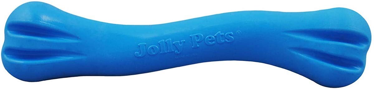 Jolly Pets Jolly Bone moyen bleu avec rainures pour gencives et jeu de rapport