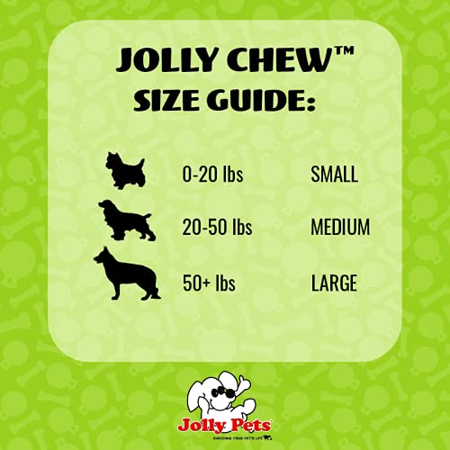 Jolly Pets Jolly Bone bleu moyen, design durable pour sessions de mastication soutenues