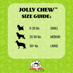 Jolly Pets Jolly Bone bleu moyen, design durable pour sessions de mastication soutenues