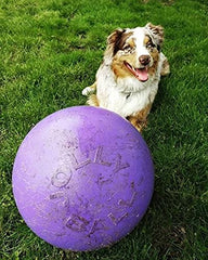 Jolly Pets Push-N-Play, balle en mouvement, encourage poussée et jeux dynamiques.