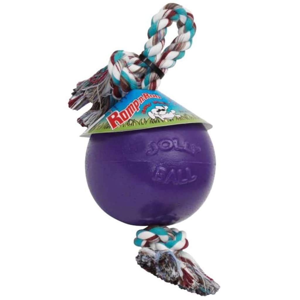 Jolly Pets Romp-n-Roll avec balle violet 6 pouces, idéale pour lancer et rapporter.