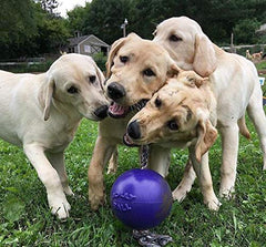 Jolly Pets Romp-n-Roll corde-grip ergonomique, pratique pour tirage et jeu interactif.
