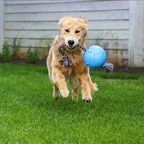 Jolly Pets Romp-n-Roll: corde-poignée adhérente pour lancer et tirer.
