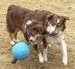 Jolly Pets Romp-n-Roll avec corde-poignée pour tir et lancer sans fuite.