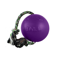 Jolly Pets Romp-n-Roll: flotteur pratique pour jeux d'eau.