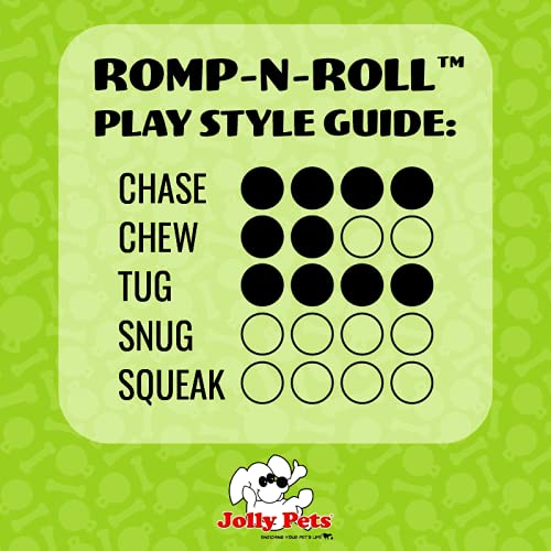 Jolly Pets Romp-n-Roll, gros plan sur la corde, sécurité et durabilité pour chien actif.