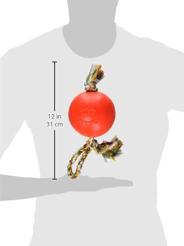 Balle-JollyFlex Romp-n-Roll: résiste aux perforations et rebondit pendant le jeu.