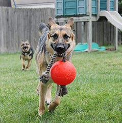 Jolly Pets Romp-n-Roll: poignee grippante intégrée pour tirage et lancer faciles