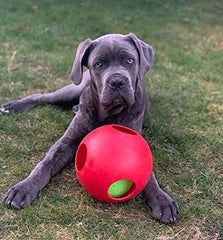 Jolly Pets Teaser Ball grand format 8 pouces, pour chiens de grande taille.