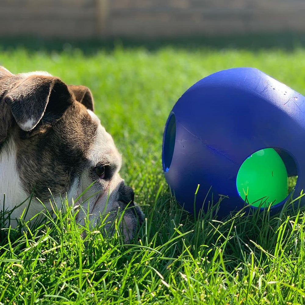 Jolly Pets Teaser Ball pâte cacahuète : enrichissement par friandise.