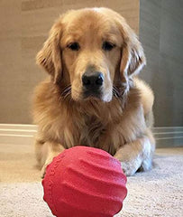 Jolly Pets Tuff Tosser remplie de friandises, idéale pour stimuler l’attention.