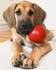 Distributeur de friandises intégré stimule l’esprit du chien pendant le jeu