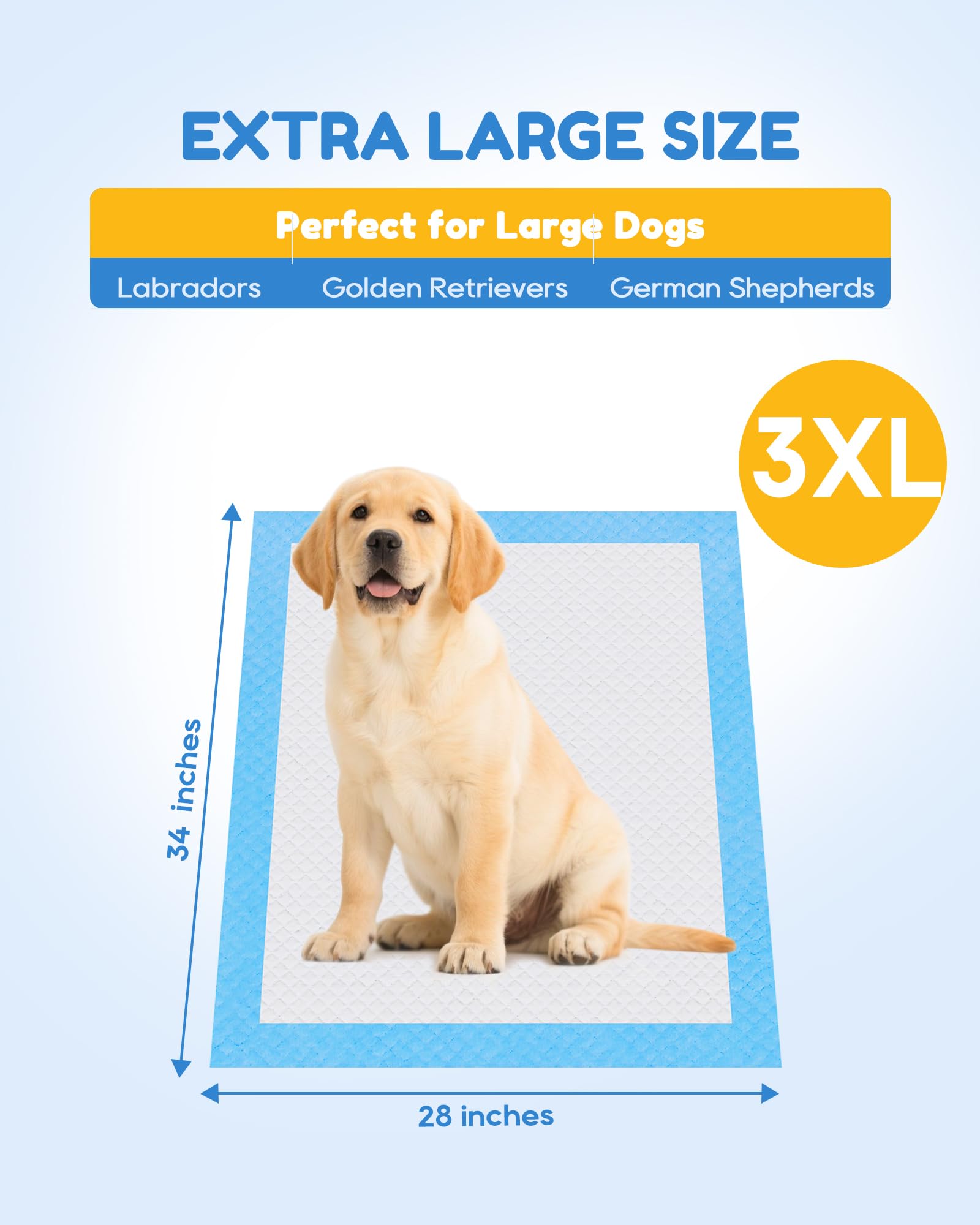 Jolly Care tapis-pipi XXXL 36 po x 36 po, adapté chiens et chats.