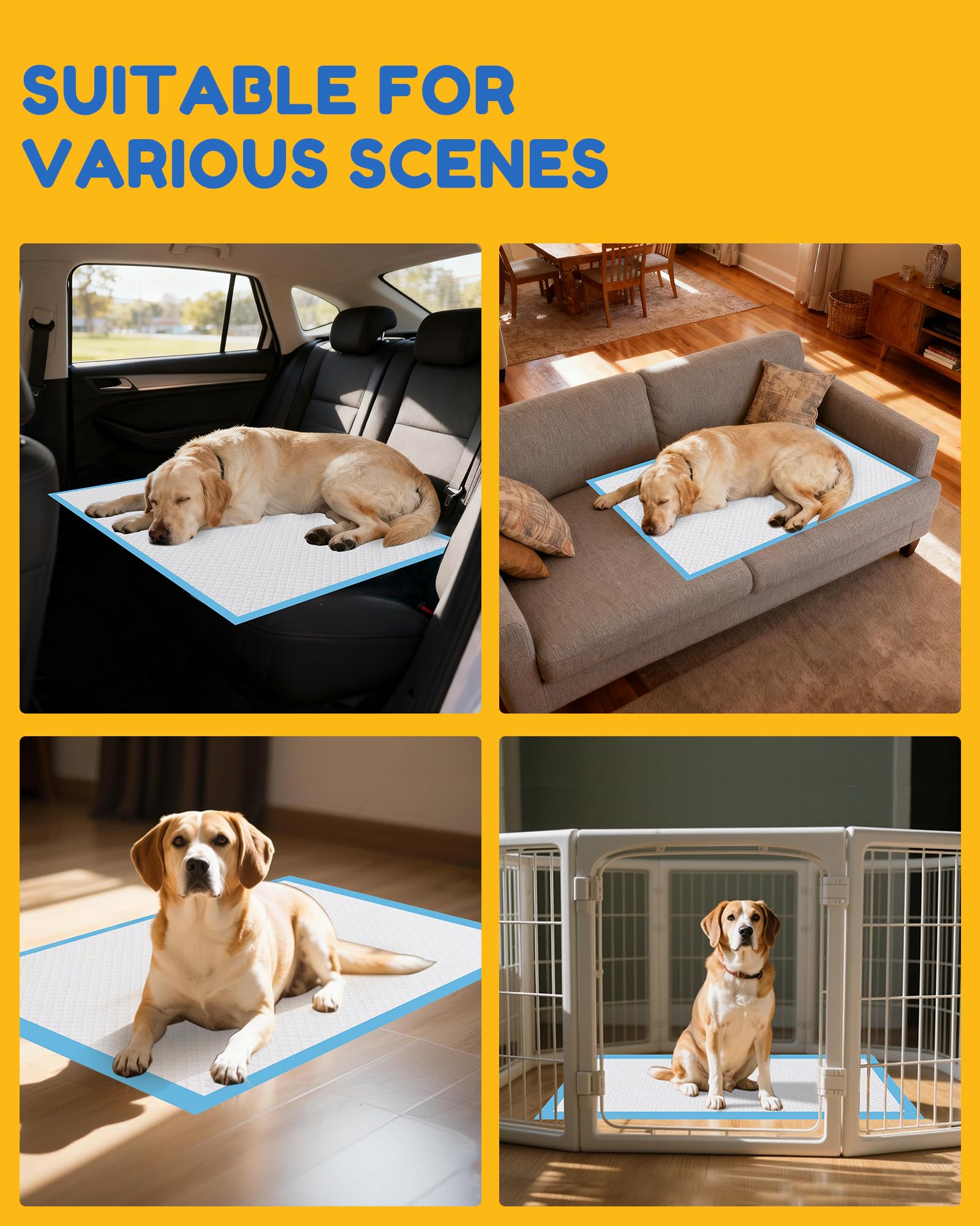 Jolly Care tapis-pipi XXXL 36 po x 36 po, pratique et facile à changer.
