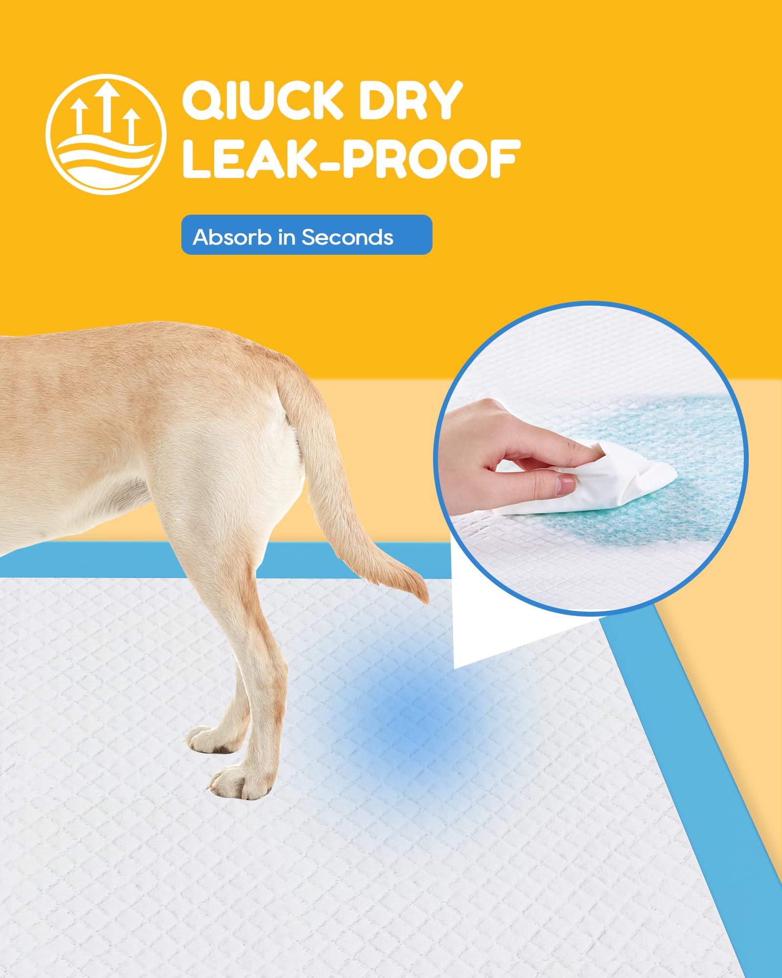 Jolly Care tapis-pipi XXXL 36 po x 36 po, utilisation intérieure et extérieure.