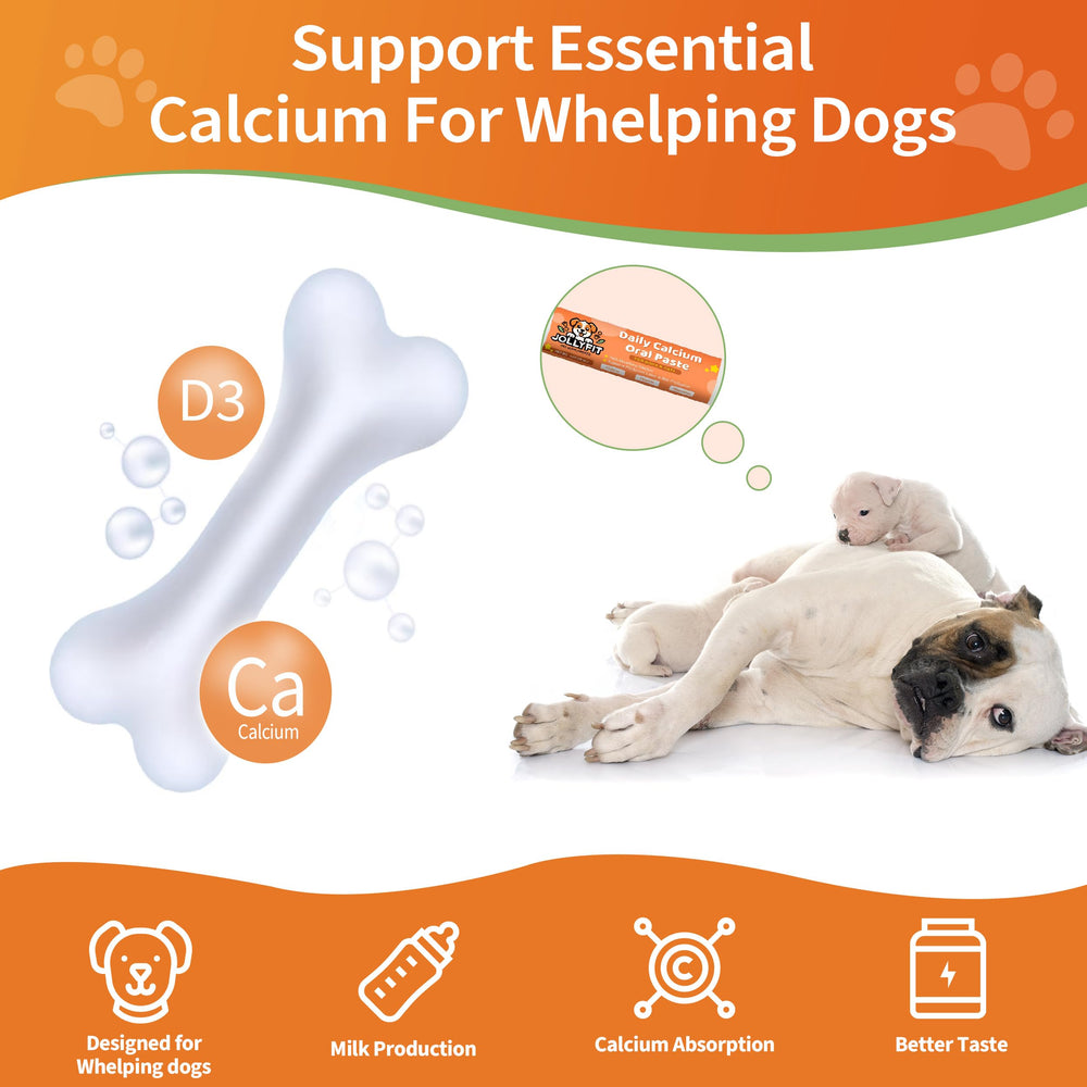 Jollyfit Calcium oral, chien mère, soutien lactation.