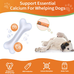 Jollyfit Calcium oral, chien mère, soutien lactation.