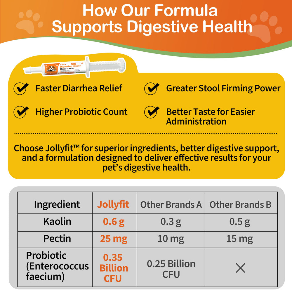 Jollyfit Enterococcus faecium pro biotique pour équilibre intestinal.