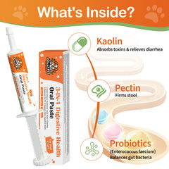 Pâte Kaolin Pectine Probiotique Jollyfit, texture lisse facilitant l’administration.