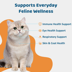 Jollyfit Pâte Lysine chat saveur poulet naturelle facilite l'administration.