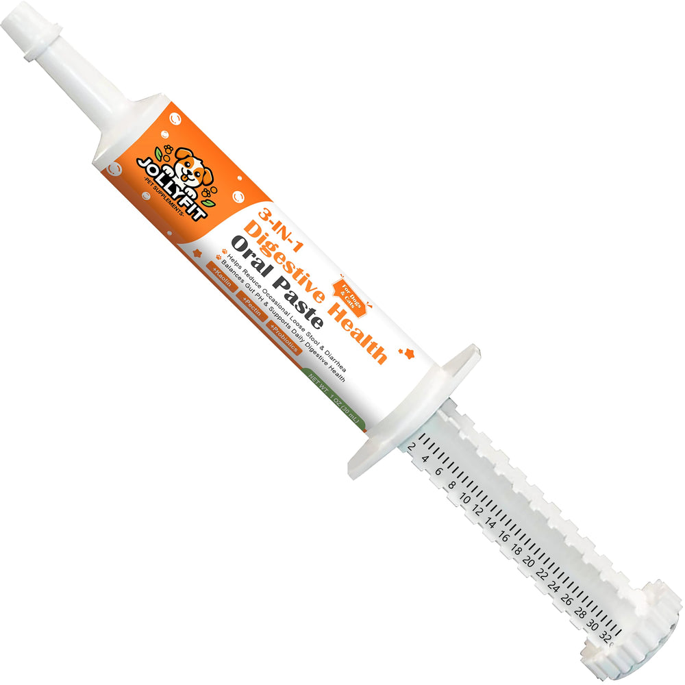 Jollyfit Santé digestion quotidienne, soutien potentiel pour selles régulières.