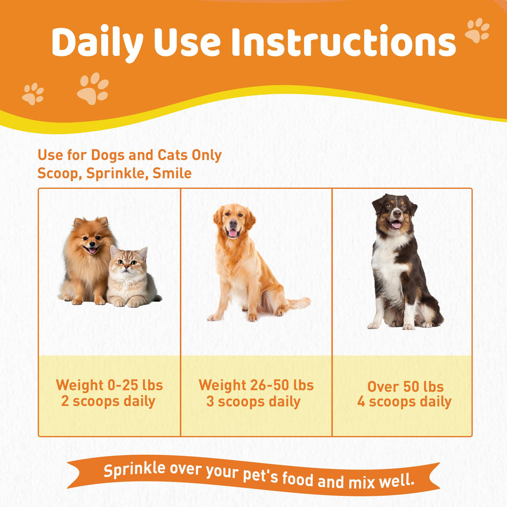 Poudre dentaire Jollyfit pour chien senior: douceur adaptée.