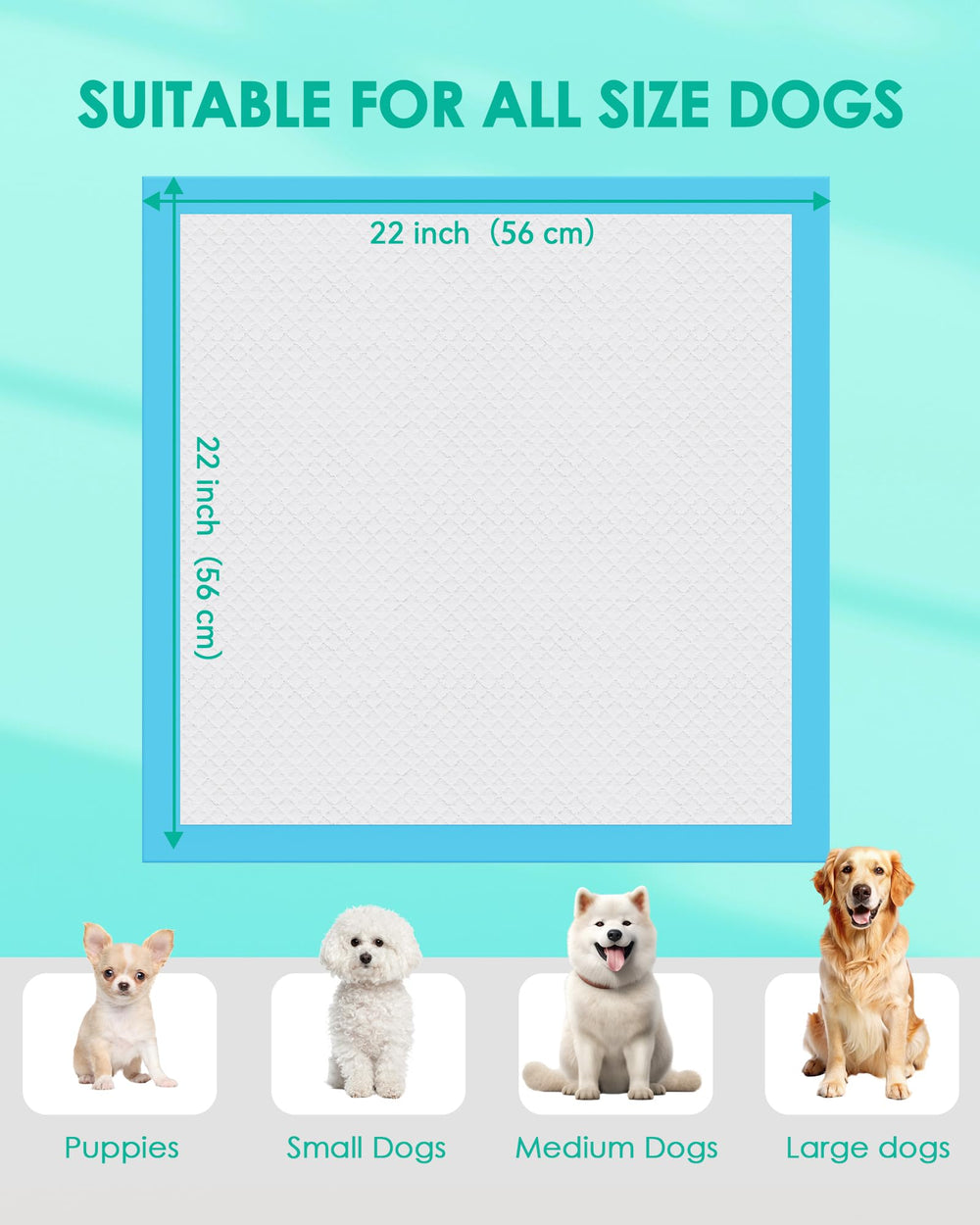 Absorption rapide et structure à 5 couches pour petits animaux avec JollyMate.
