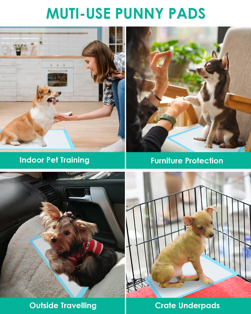 Usage polyvalent pour chiots, chats et lapins avec JollyMate.
