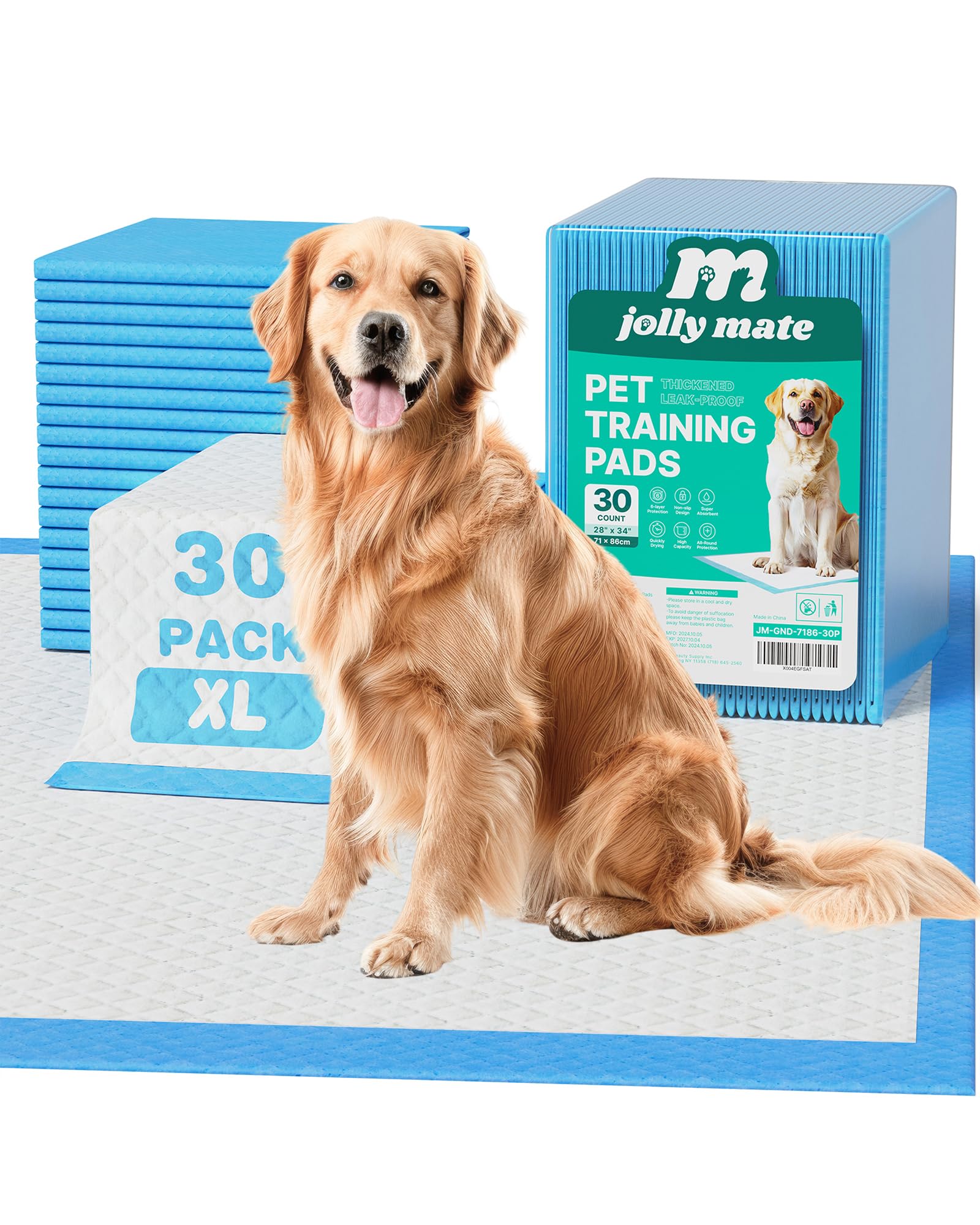 Tapis JollyMate XXL 28x34, absorbant et idéal pour l entraînement intérieur.