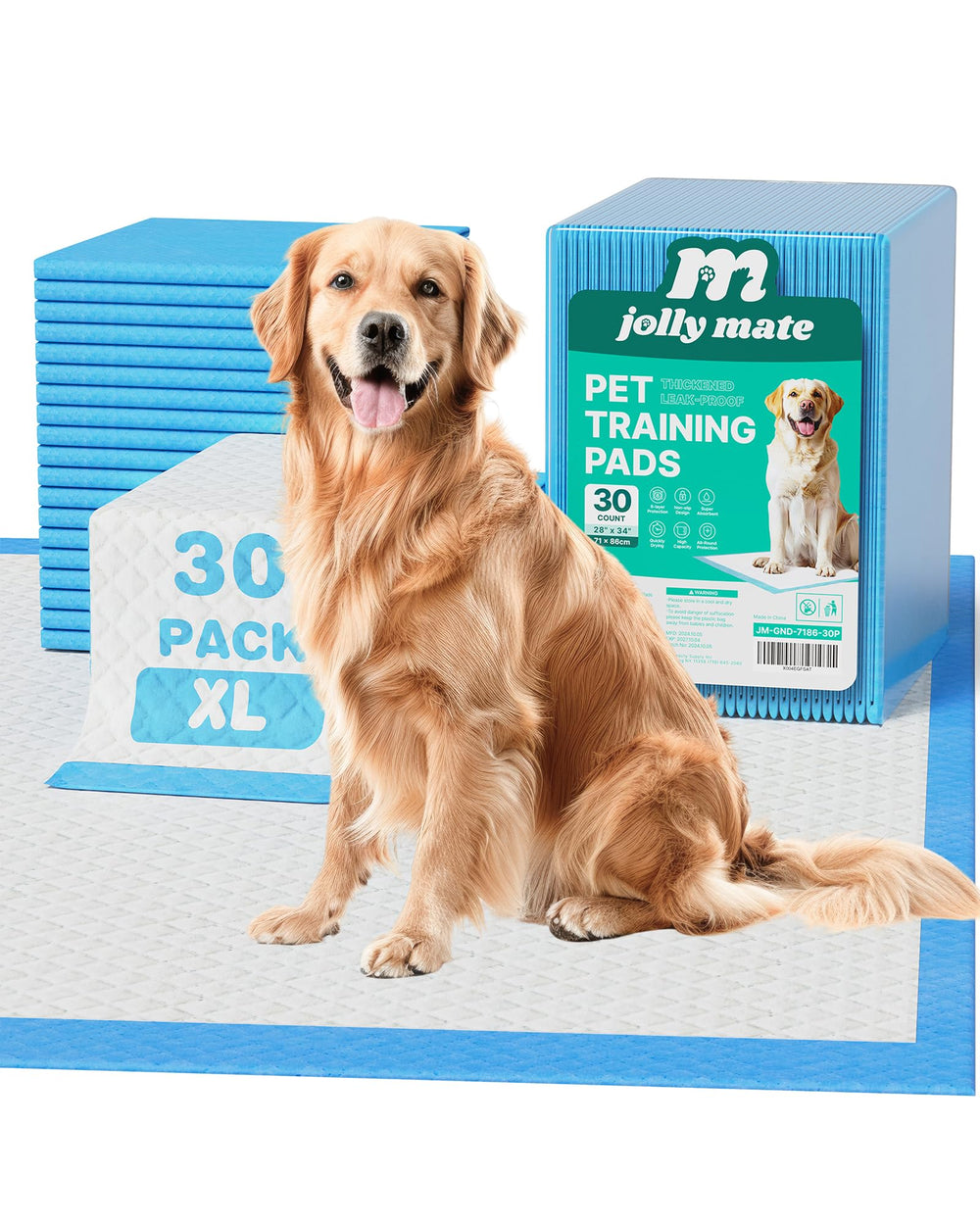 Tapis JollyMate XXL 28x34, absorbant et idéal pour l entraînement intérieur.