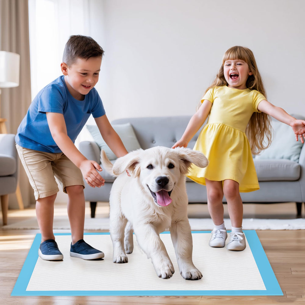 Utilisation polyvalente JollyMate pour intérieur et extérieur selon vos besoins.