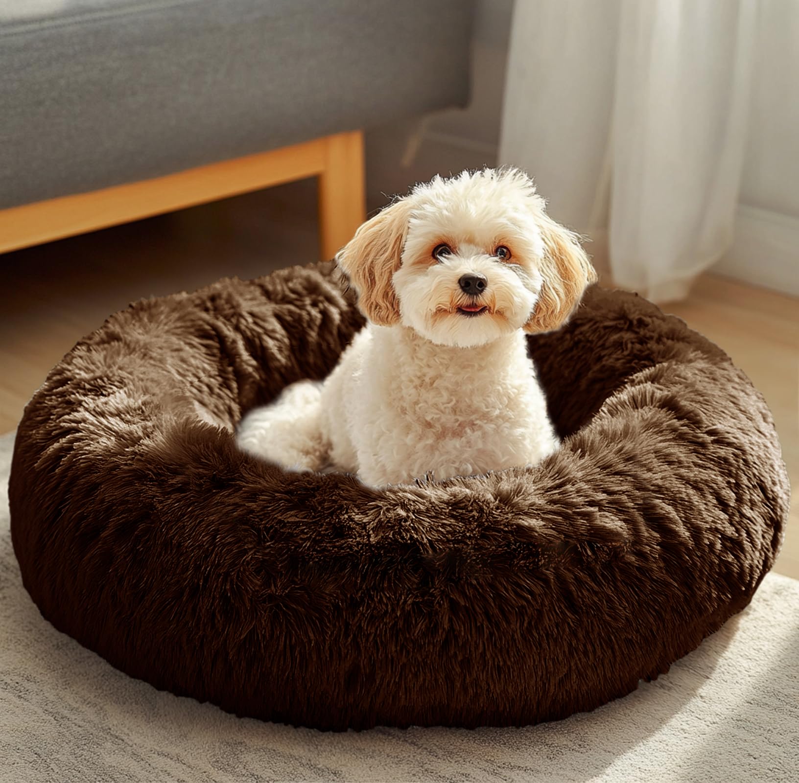 Coussin beignet JOLLYVOGUE pour petit chien et chat