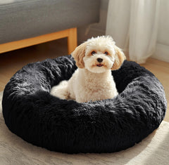 JOLLYVOGUE lit-donut-douillet-chat, idéal pour le repos et le confort.