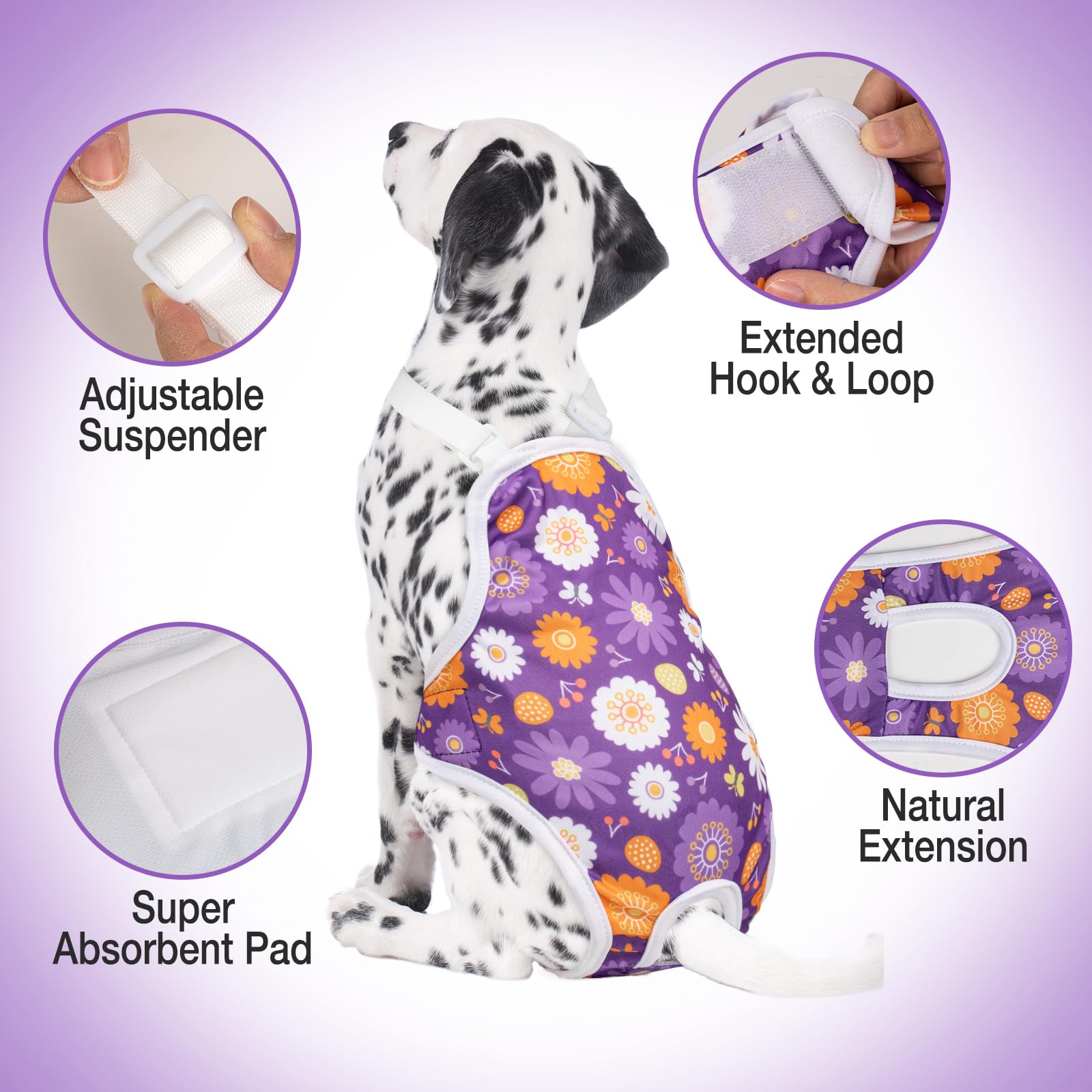 Jollywoods couche absorbante intérieur haute capacité, absorption rapide pour contrôle propreté.