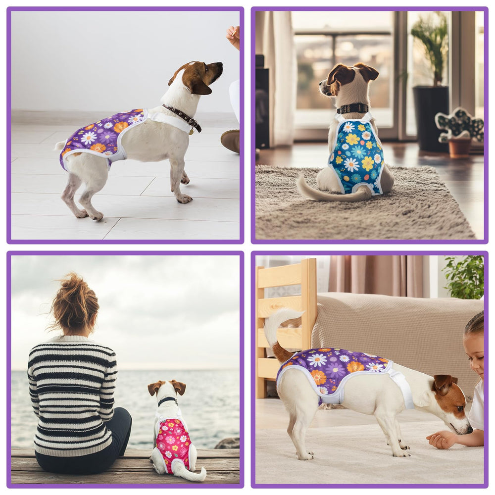 Jollywoods motif mignon pour chien, accessoire vestimentaire pratique pour chiens actifs.